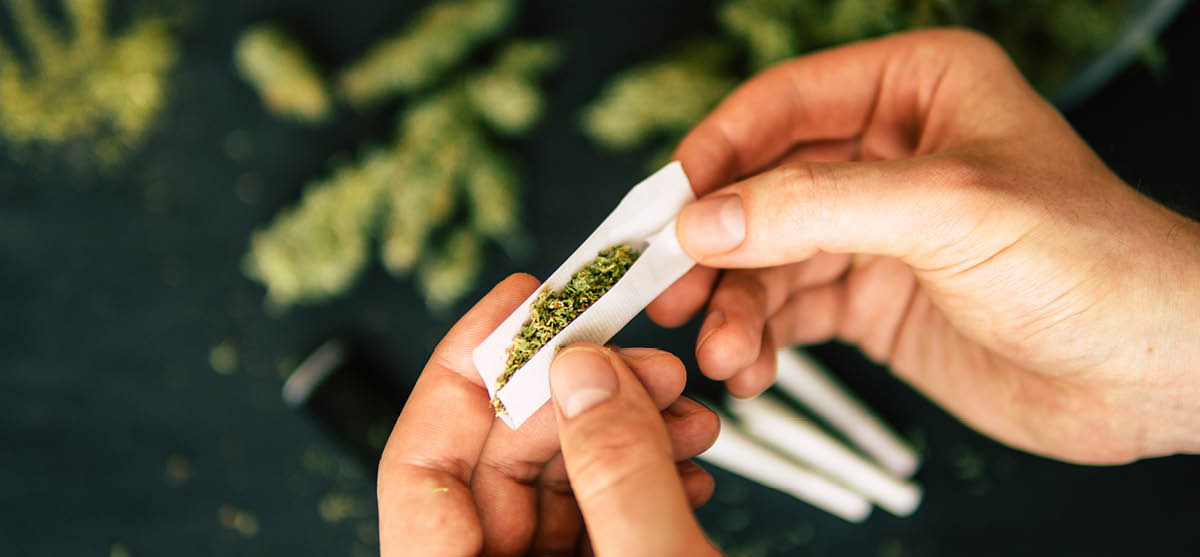 Rolled joint cannabis weed in hand of man Cones bud of marijuana flowers cannabis in hand of man black background close up