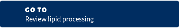 Go to Review lipid processing 