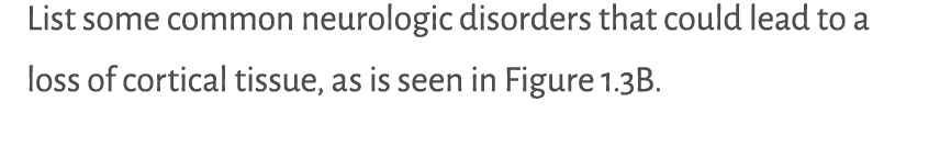 List some common neurologic disorders that could lead to a loss of cortical tissue, as is seen in Figure 1.3B.