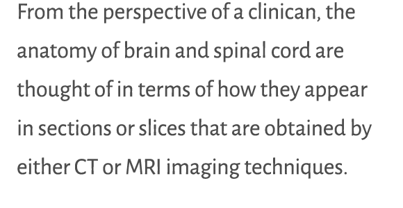 From the perspective of a clinican, the anatomy of brain and spinal cord are thought of in terms of how they appear i...