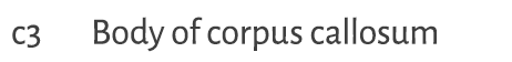 c3 Body of corpus callosum