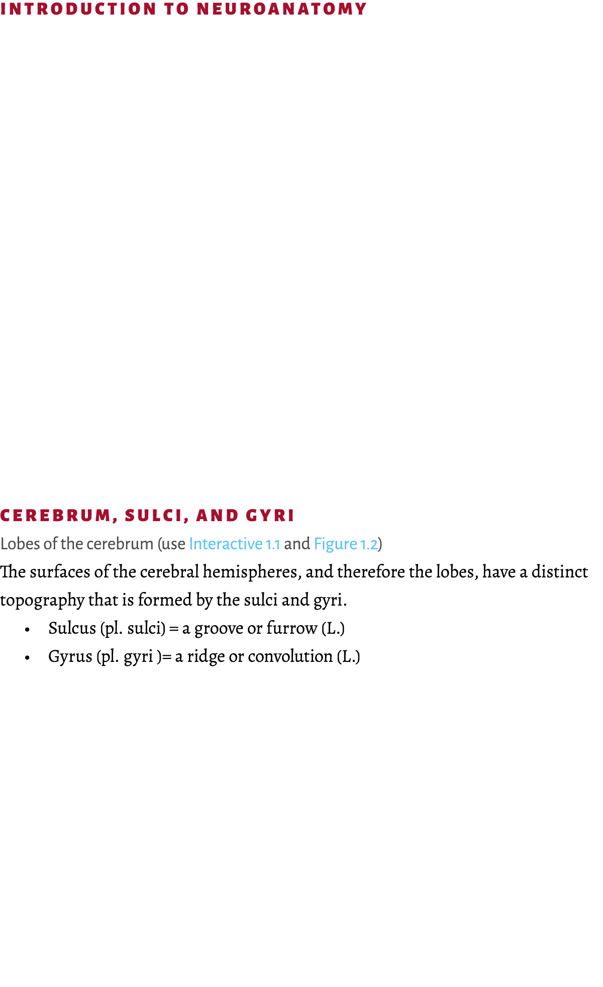 ﻿Introduction to neuroanatomy ﻿Cerebrum, sulci, and gyri ﻿Lobes of the cerebrum (use Interactive 1.1 and Figure 1.2) ...