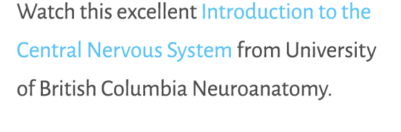 Watch this excellent Introduction to the Central Nervous System from University of British Columbia Neuroanatomy.