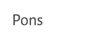 Pons