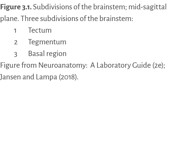 Figure 3.1. ﻿Subdivisions of the brainstem; mid sagittal plane. Three subdivisions of the brainstem: 1 Tectum 2 Tegme...