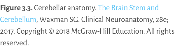 Figure 3.3. ﻿Cerebellar anatomy. The Brain Stem and Cerebellum, Waxman SG. Clinical Neuroanatomy, 28e; 2017. Copyrigh...