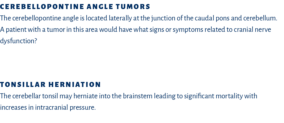 Cerebellopontine angle tumors The cerebellopontine angle is located laterally at the junction of the caudal pons and ...
