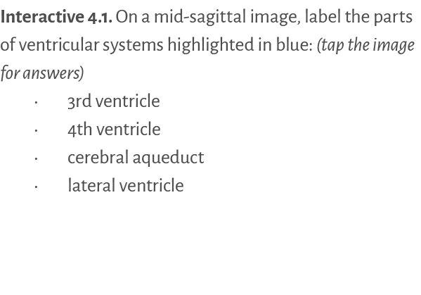 Interactive 4.1. On a mid sagittal image, label the parts of ventricular systems highlighted in blue: (tap the image ...
