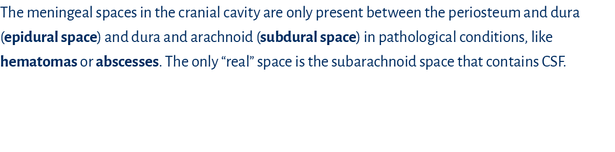 The meningeal spaces in the cranial cavity are only present between the periosteum and dura (epidural space) and dura...