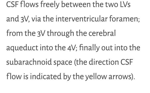 CSF flows freely between the two LVs and 3V, via the interventricular foramen; from the 3V through the cerebral aqued...