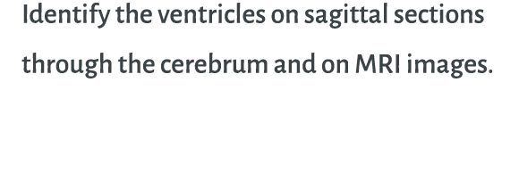 Identify the ventricles on sagittal sections through the cerebrum and on MRI images.