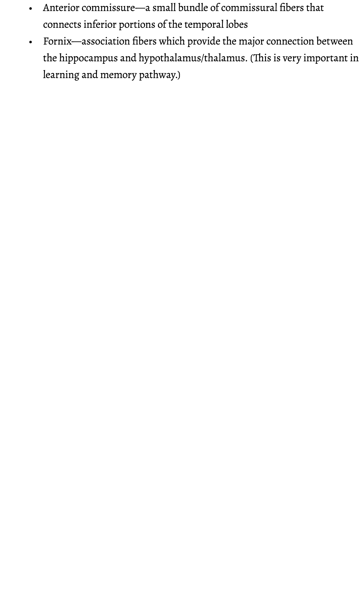   Anterior commissure—a small bundle of commissural fibers that connects inferior portions of the temporal lobes   Fo   