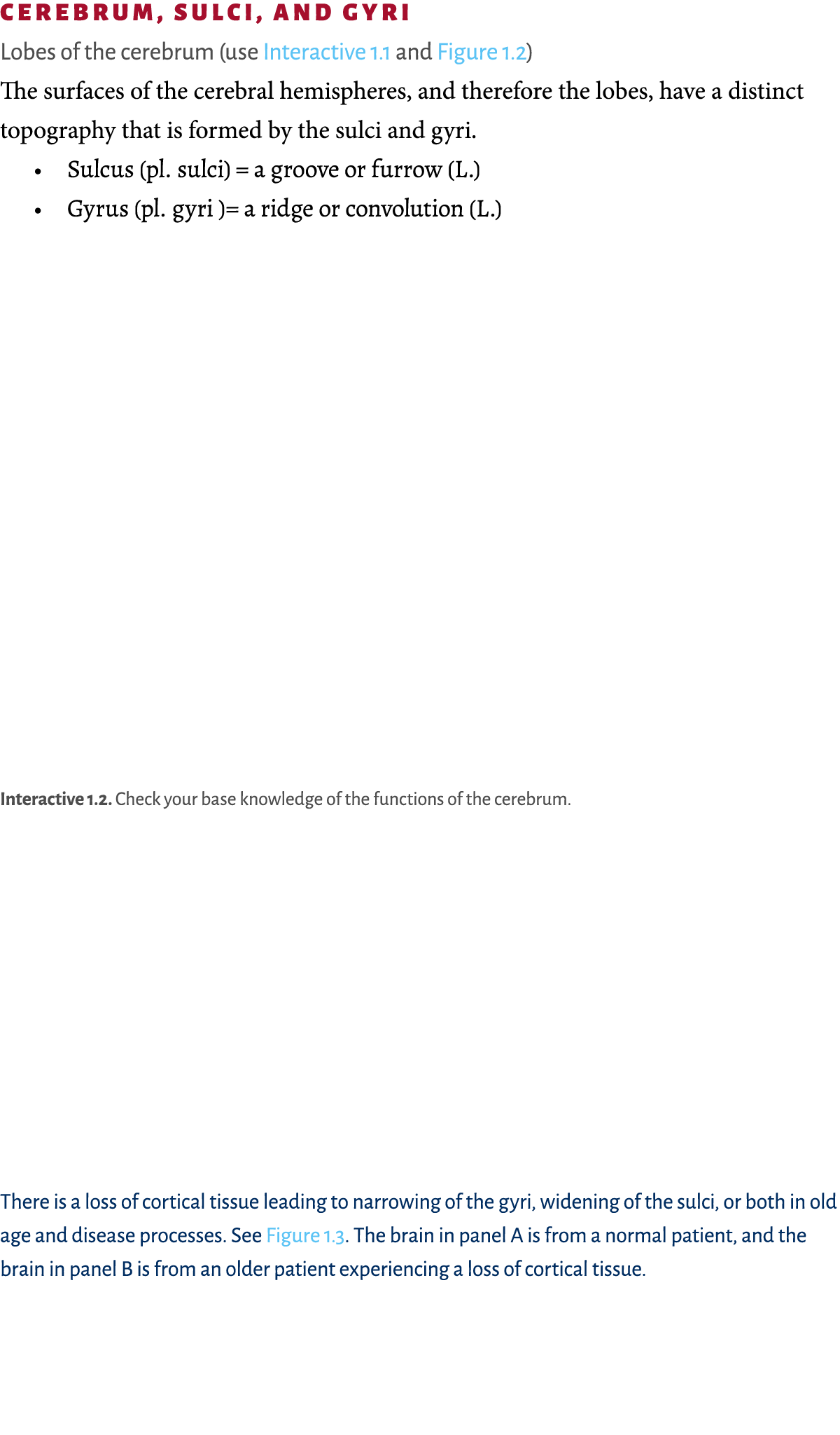  Cerebrum, sulci, and gyri  Lobes of the cerebrum (use Interactive 1 1 and Figure 1 2) The surfaces of the cerebral h   