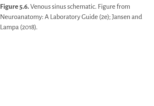 Figure 5.6. ﻿Venous sinus schematic. Figure from Neuroanatomy: A Laboratory Guide (2e); Jansen and Lampa (2018). 