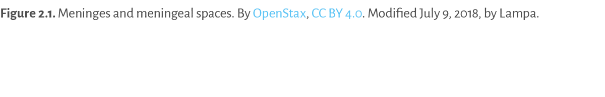 Figure 2 1   Meninges and meningeal spaces  By OpenStax, CC BY 4 0  Modified July 9, 2018, by Lampa 