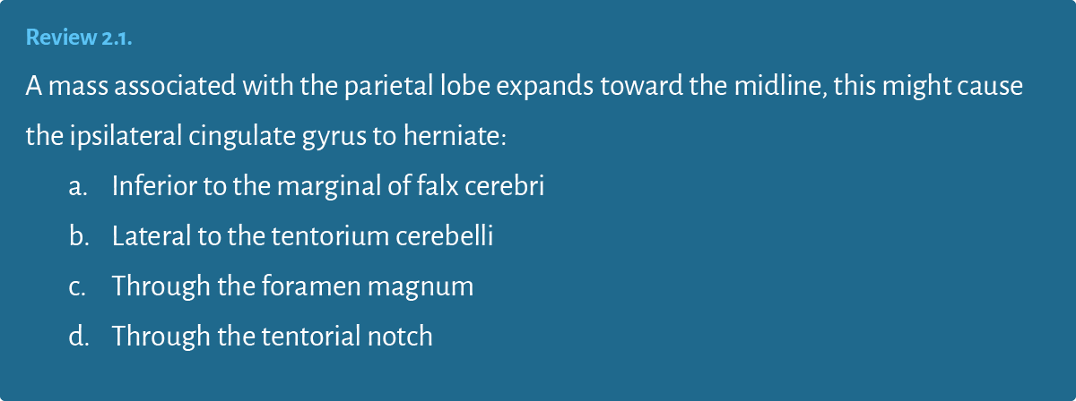 Review 2 1  A mass associated with the parietal lobe expands toward the midline, this might cause the ipsilateral cin   