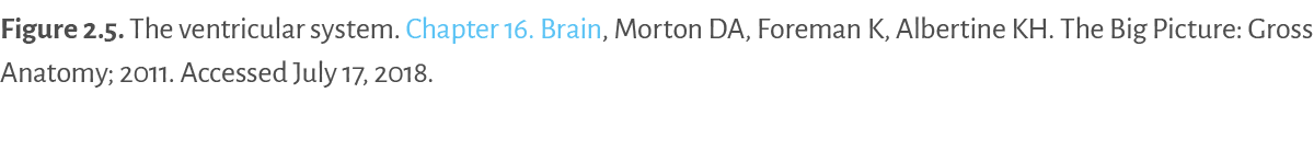 Figure 2 5   The ventricular system  Chapter 16  Brain, Morton DA, Foreman K, Albertine KH  The Big Picture: Gross An   