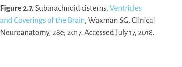 Figure 2 7   Subarachnoid cisterns  Ventricles and Coverings of the Brain, Waxman SG  Clinical Neuroanatomy, 28e; 201   