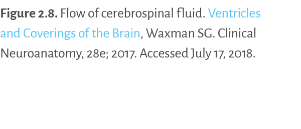 Figure 2 8  Flow of cerebrospinal fluid  Ventricles and Coverings of the Brain, Waxman SG  Clinical Neuroanatomy, 28e   