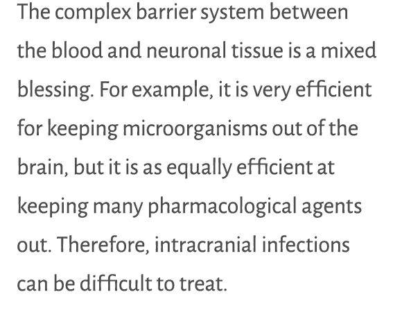 The complex barrier system between the blood and neuronal tissue is a mixed blessing  For example, it is very efficie   