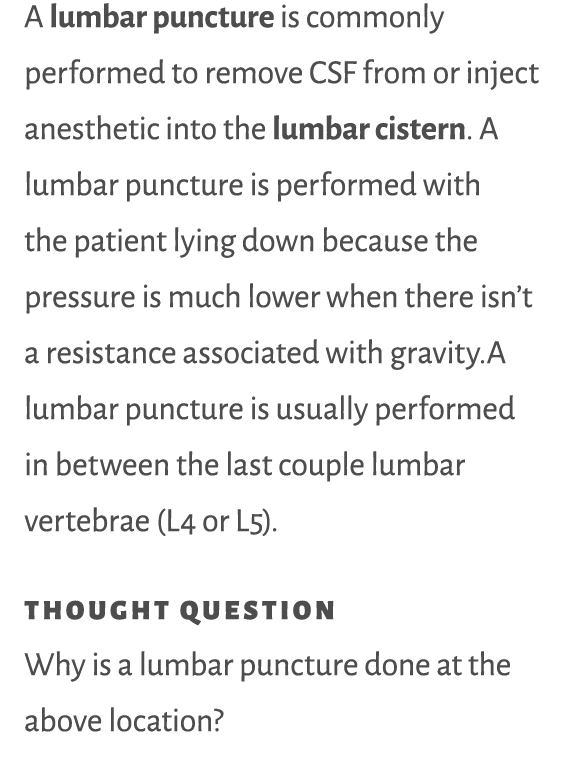 A lumbar puncture is commonly performed to remove CSF from or inject anesthetic into the lumbar cistern  A lumbar pun   