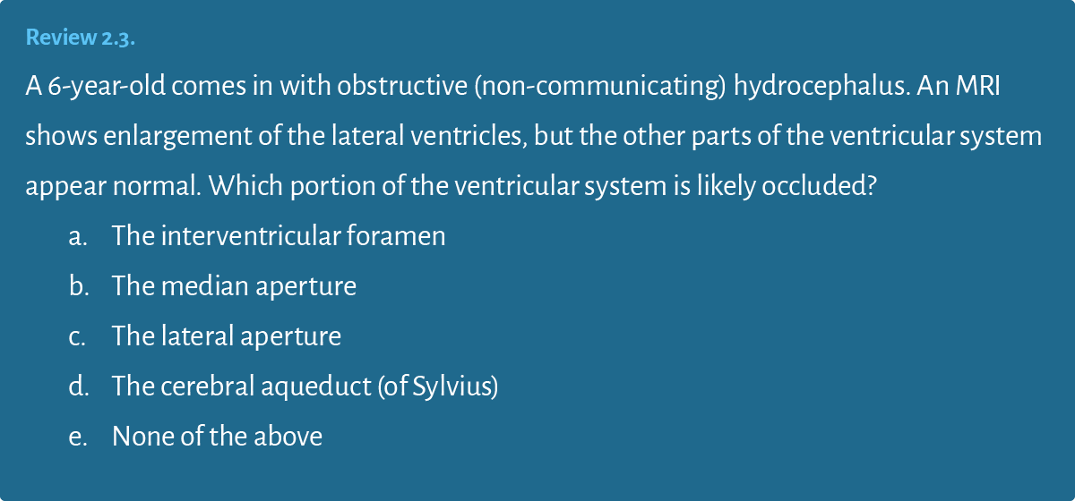 Review 2 3  A 6-year-old comes in with obstructive (non-communicating) hydrocephalus  An MRI shows enlargement of the   