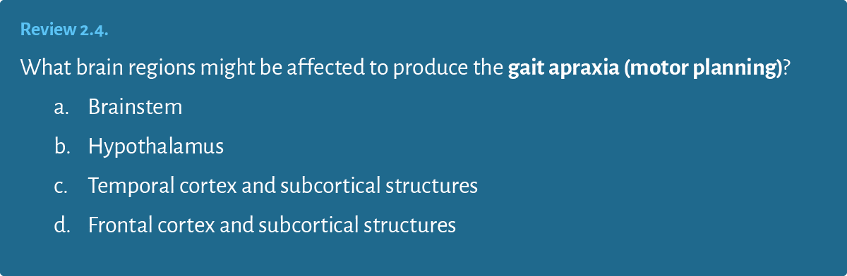 Review 2 4  What brain regions might be affected to produce the gait apraxia (motor planning)  a  Brainstem b  Hypoth   