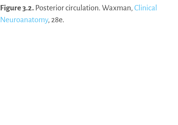 Figure 3 2   Posterior circulation  Waxman, Clinical Neuroanatomy, 28e 