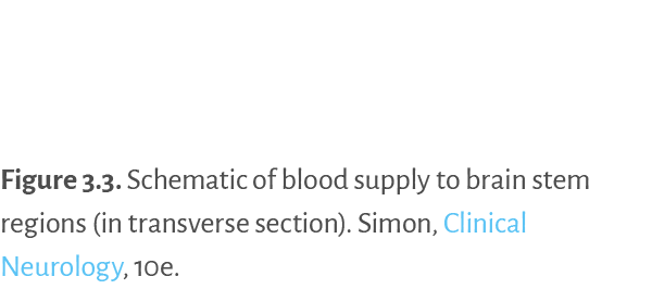 Figure 3 3   Schematic of blood supply to brain stem regions (in transverse section)  Simon, Clinical Neurology, 10e 
