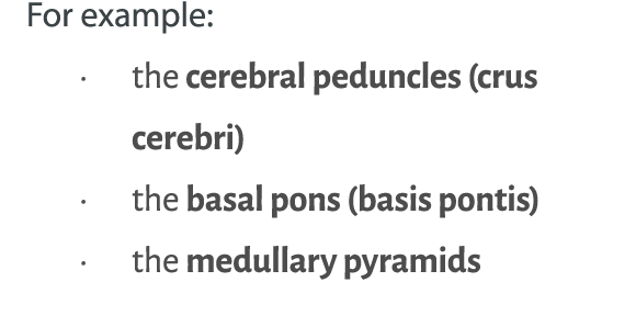 For example:   the cerebral peduncles (crus cerebri)   the basal pons (basis pontis)   the medullary pyramids