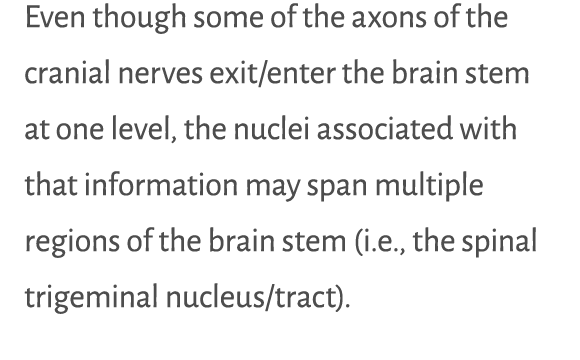 Even though some of the axons of the cranial nerves exit enter the brain stem at one level, the nuclei associated wit   