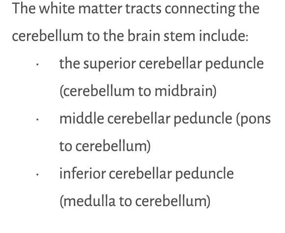 The white matter tracts connecting the cerebellum to the brain stem include:   the superior cerebellar peduncle (cere   