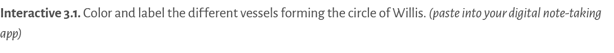 Interactive 3 1   Color and label the different vessels forming the circle of Willis  (paste into your digital note-t   