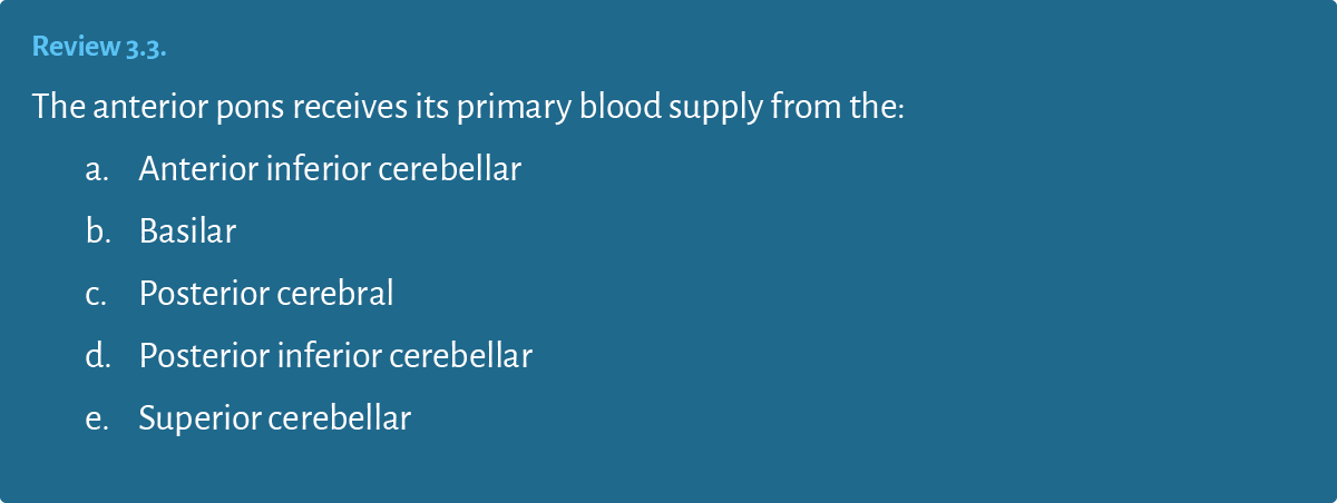 Review 3 3  The anterior pons receives its primary blood supply from the: a  Anterior inferior cerebellar b  Basilar    