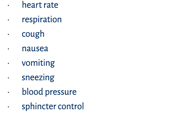   heart rate   respiration   cough   nausea   vomiting   sneezing   blood pressure   sphincter control