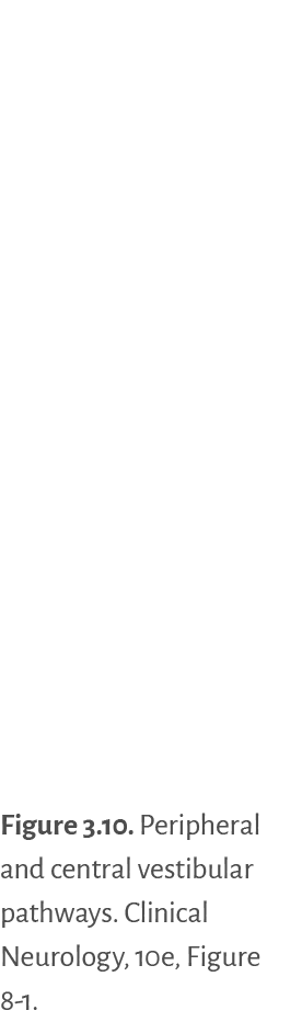 Figure 3 10   Peripheral and central vestibular pathways  Clinical Neurology, 10e, Figure 8-1 