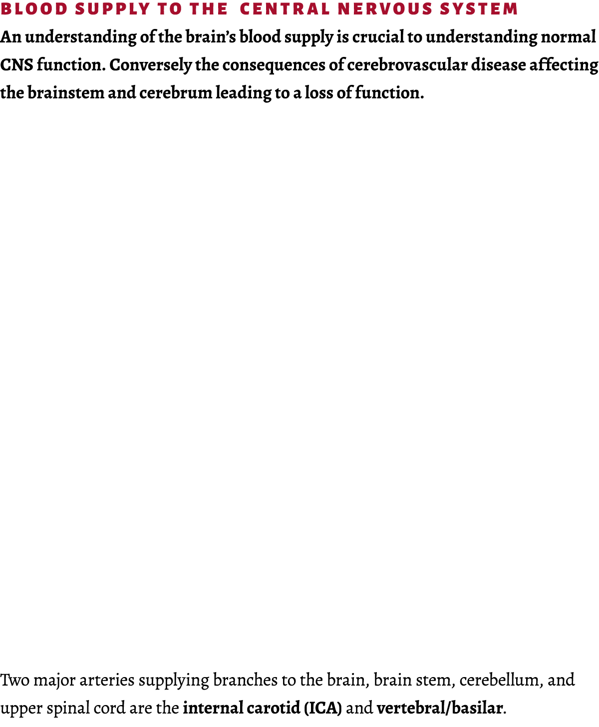  Blood Supply to the  Central Nervous System An understanding of the brain s blood supply is crucial to understanding   