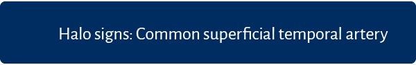 Halo signs: Common superficial temporal artery