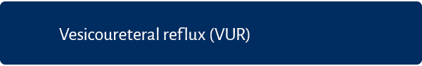 Vesicoureteral reflux (VUR) 