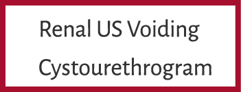 Renal US Voiding Cystourethrogram