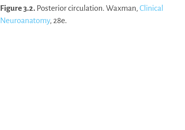 Figure 3.2. ﻿Posterior circulation. Waxman, Clinical Neuroanatomy, 28e.