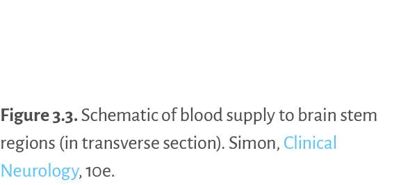 Figure 3.3. ﻿Schematic of blood supply to brain stem regions (in transverse section). Simon, Clinical Neurology, 10e.