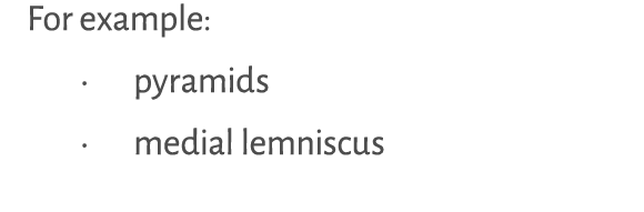 For example: • pyramids • medial lemniscus 