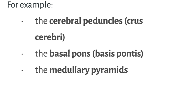 For example: • the cerebral peduncles (crus cerebri) • the basal pons (basis pontis) • the medullary pyramids
