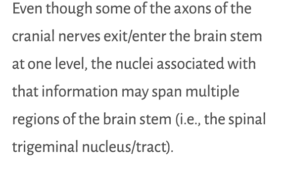 Even though some of the axons of the cranial nerves exit/enter the brain stem at one level, the nuclei associated wit...