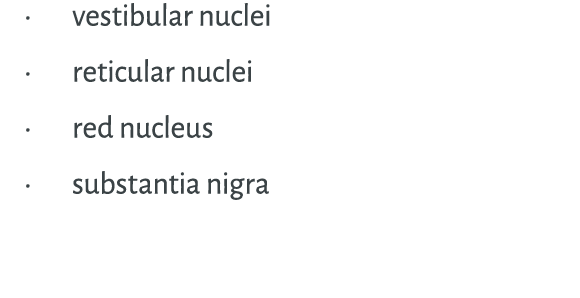 • vestibular nuclei • reticular nuclei • red nucleus • substantia nigra