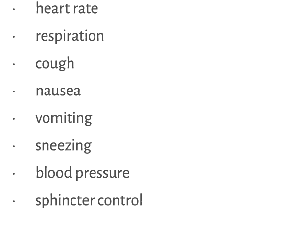 • heart rate • respiration • cough • nausea • vomiting • sneezing • blood pressure • sphincter control