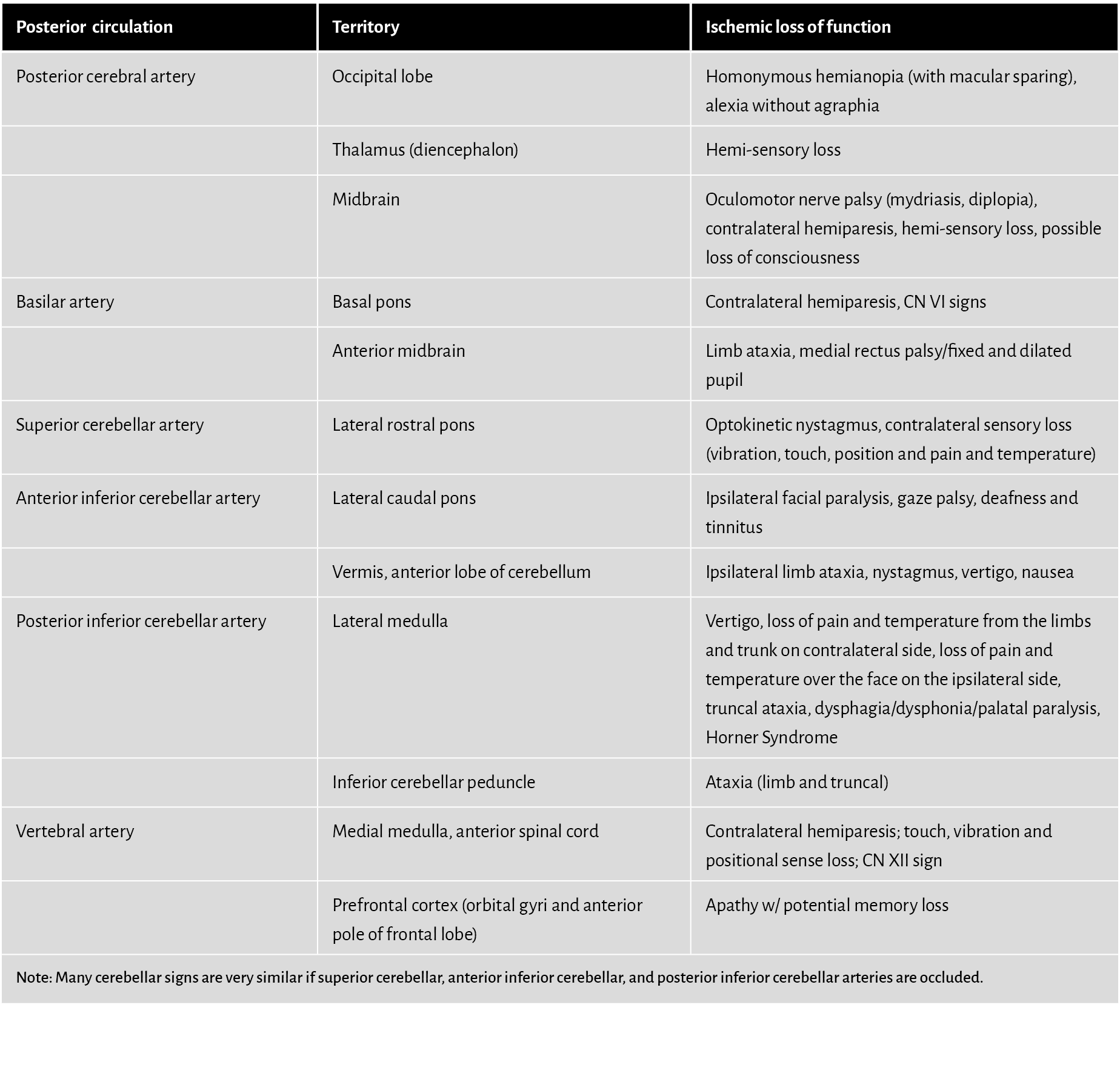 Posterior circulation,Territory,Ischemic loss of function,Posterior cerebral artery,Occipital lobe,Homonymous hemiano...