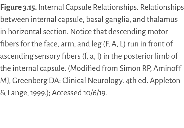 Figure 3.15. Internal Capsule Relationships. Relationships between internal capsule, basal ganglia, and thalamus in h...