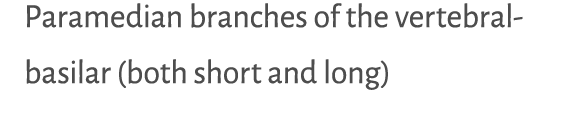 Paramedian branches of the vertebral basilar (both short and long) 